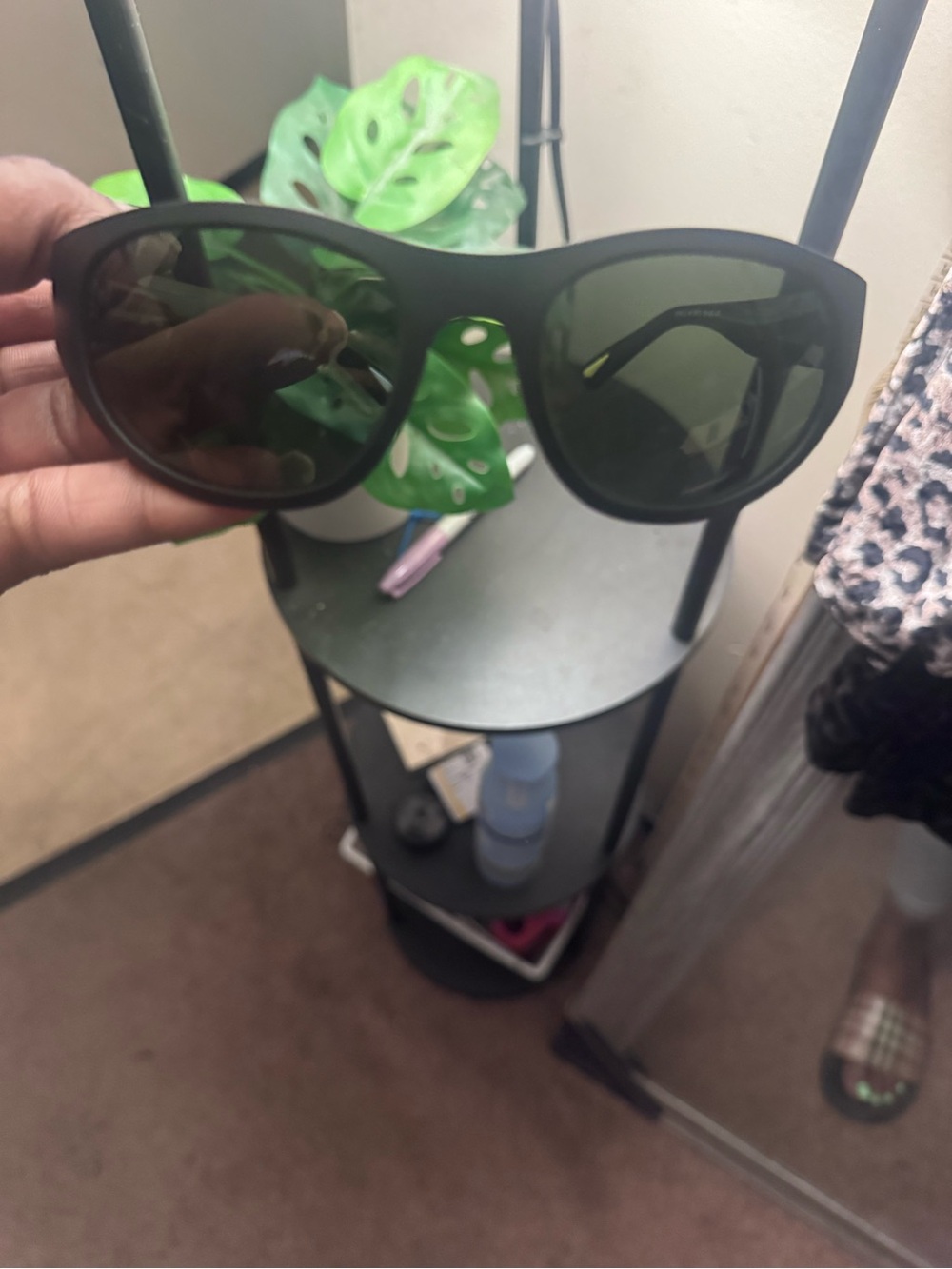 Warby Parker Odell Sunglasses
